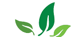 Go Moringa Diet Clinic logo