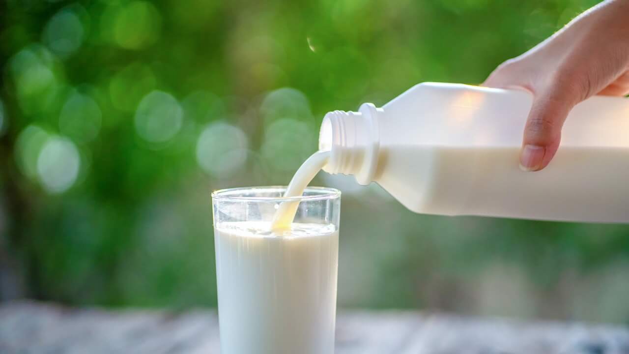 Milk - Weight Gain Diet